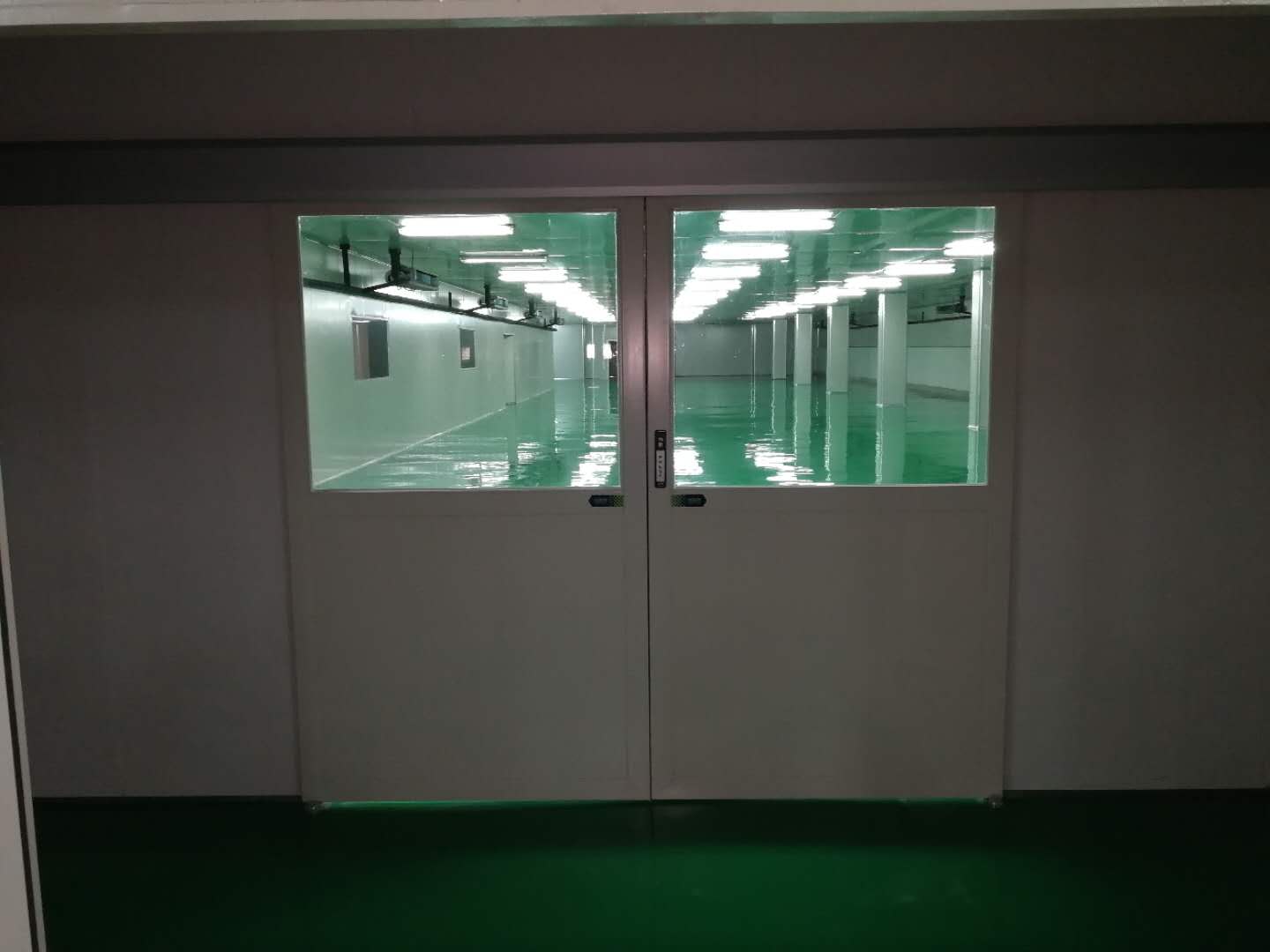 电动双开钢制门